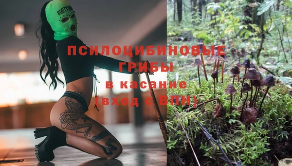 скорость mdpv Белокуриха