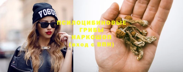 скорость mdpv Белокуриха